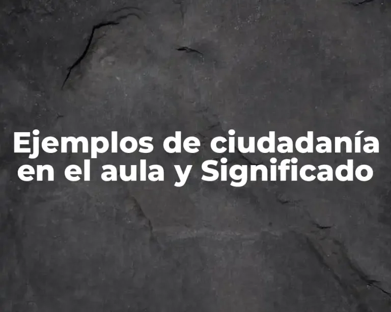 Ejemplos de ciudadanía en el aula y Significado