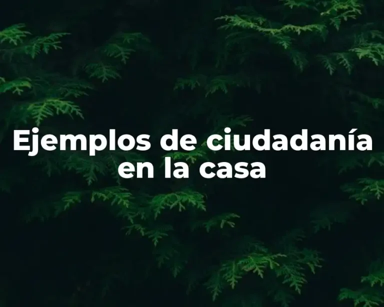 Ejemplos de ciudadanía en la casa