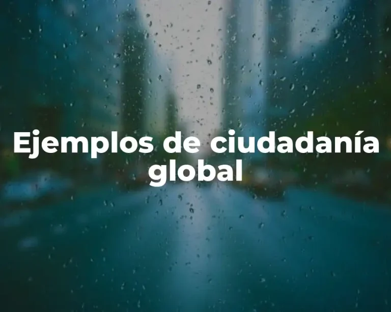 Ejemplos de ciudadanía global