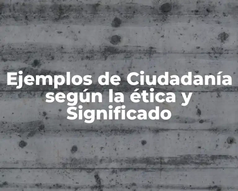 Ejemplos de Ciudadanía según la ética y Significado