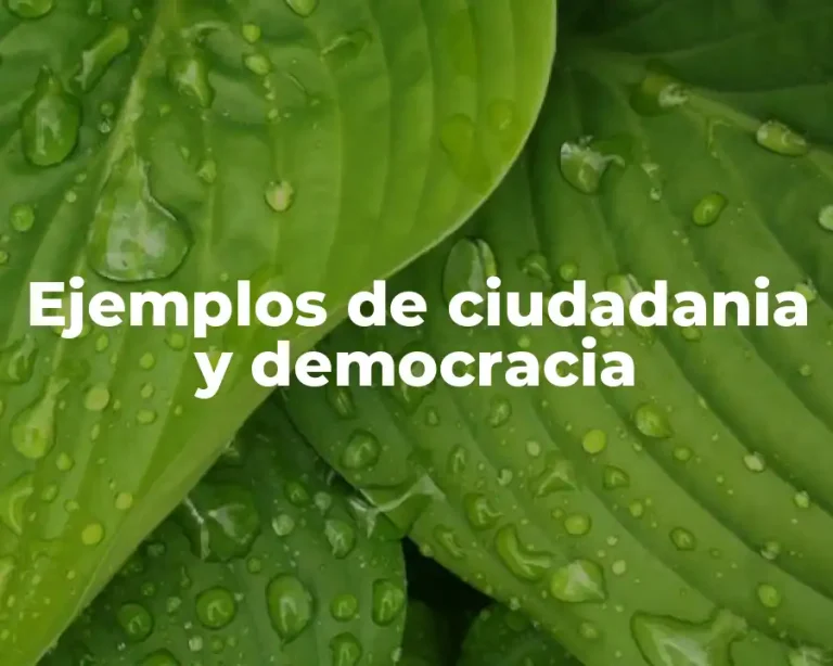 Ejemplos de ciudadania y democracia