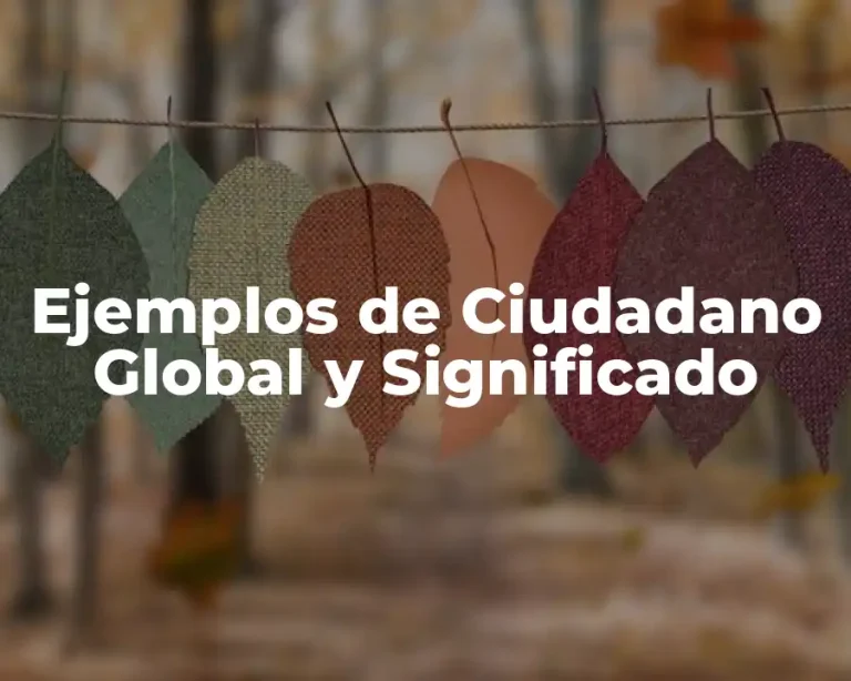 Ejemplos de Ciudadano Global y Significado