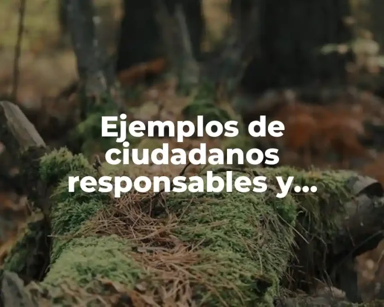 Ejemplos de ciudadanos responsables y Significado