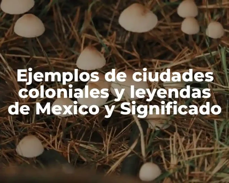 Ejemplos de ciudades coloniales y leyendas de Mexico y Significado