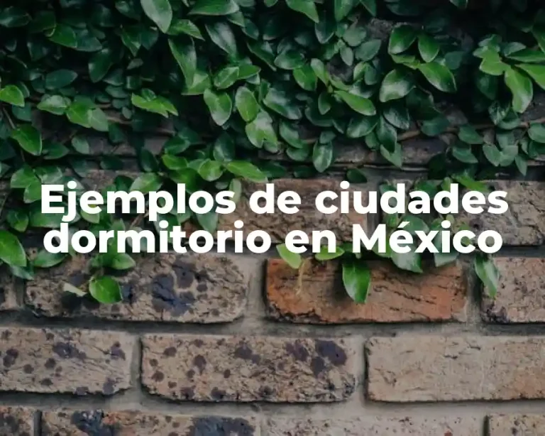Ejemplos de ciudades dormitorio en México