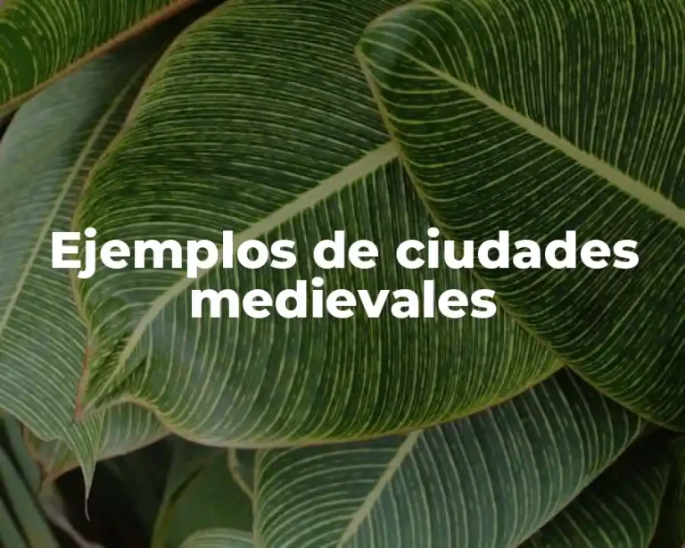 Ejemplos de ciudades medievales