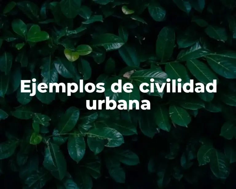 Ejemplos de civilidad urbana