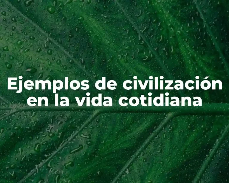Ejemplos de civilización en la vida cotidiana