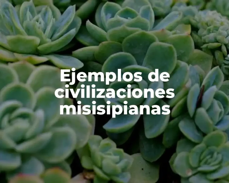 Ejemplos de civilizaciones misisipianas