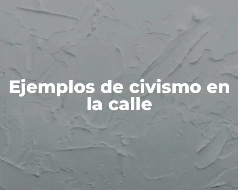 Ejemplos de civismo en la calle