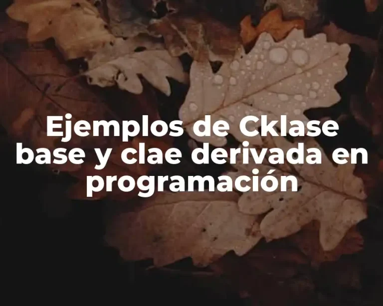 Ejemplos de Cklase base y clae derivada en programación
