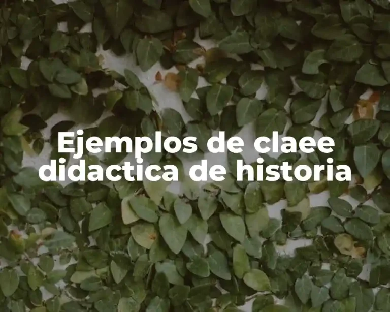 Ejemplos de claee didactica de historia