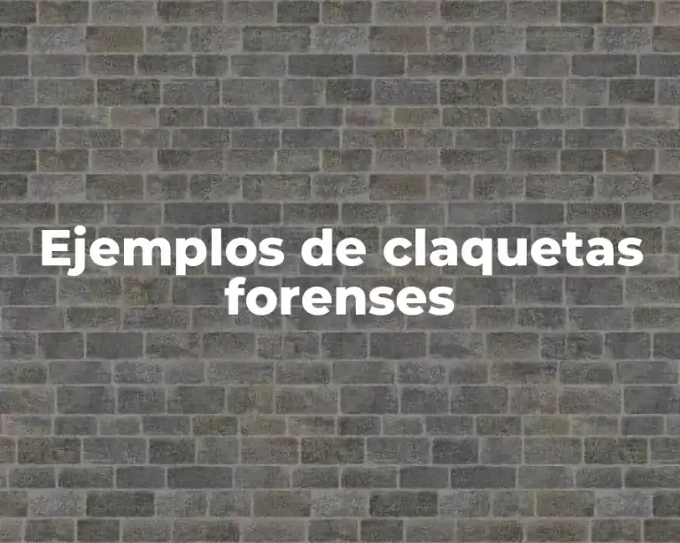 Ejemplos de claquetas forenses