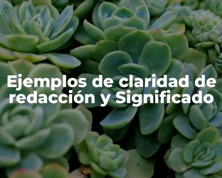 Ejemplos de claridad de redacción y Significado
