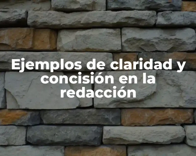 Ejemplos de claridad y concisión en la redacción