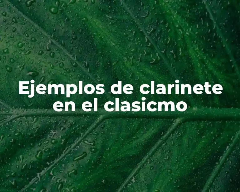 Ejemplos de clarinete en el clasicmo