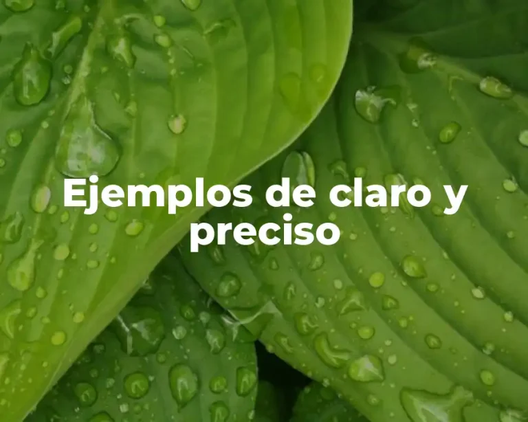 Ejemplos de claro y preciso