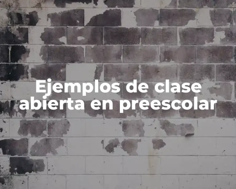 Ejemplos de clase abierta en preescolar