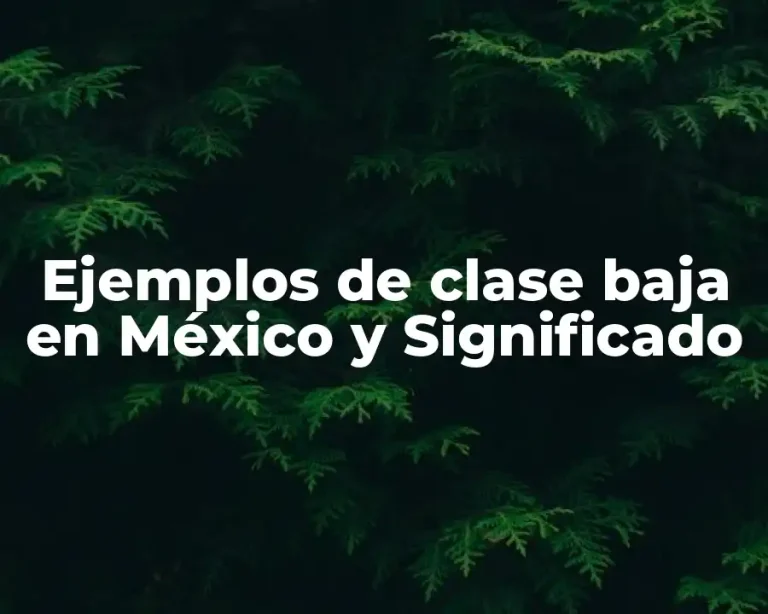 Ejemplos de clase baja en México y Significado