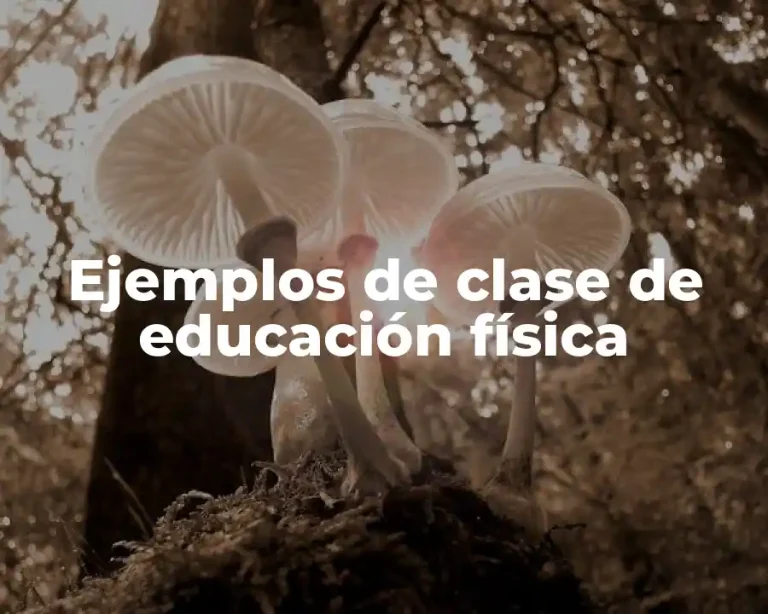 Ejemplos de clase de educación física