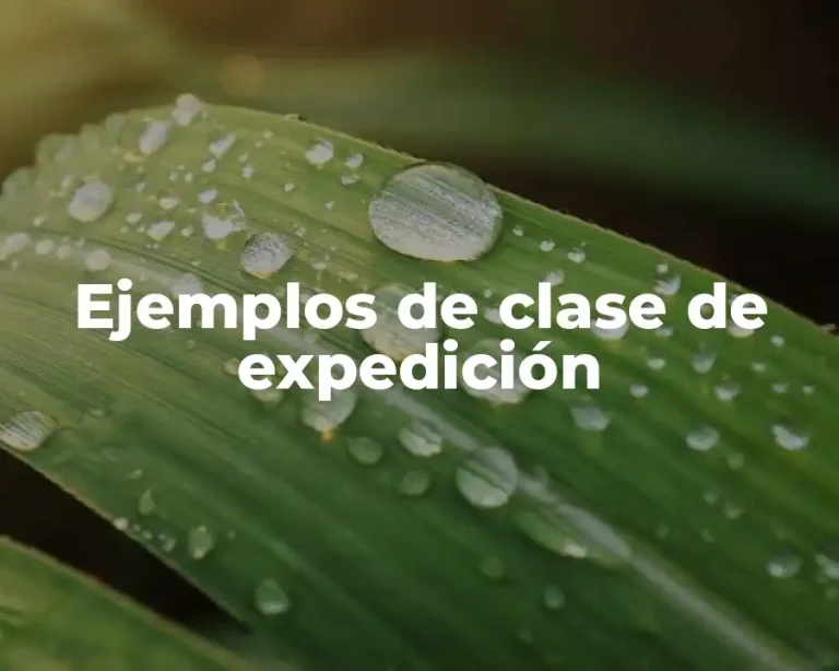 Ejemplos de clase de expedición