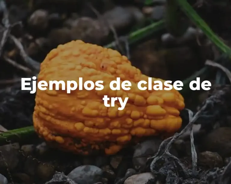 Ejemplos de clase de try