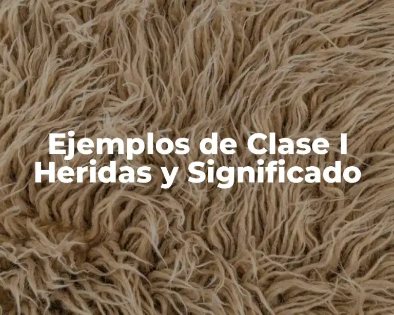 Ejemplos de Clase I Heridas y Significado