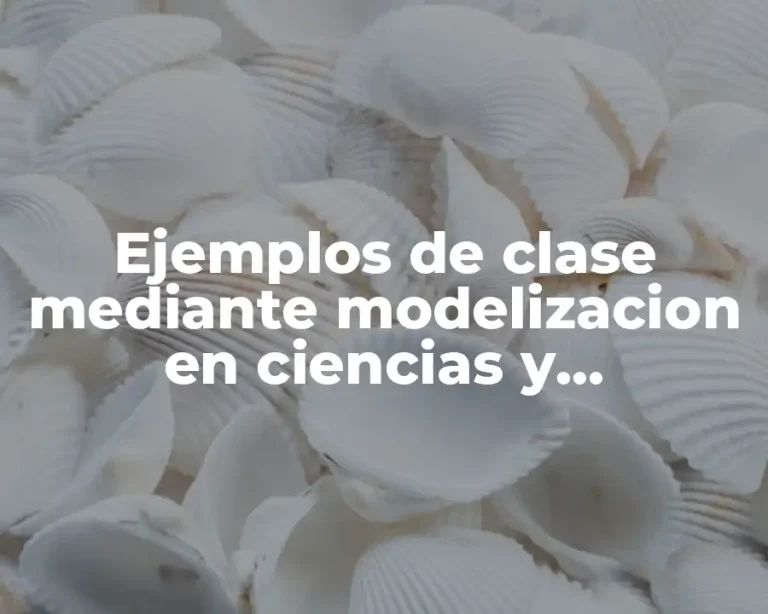 Ejemplos de clase mediante modelizacion en ciencias y Significado