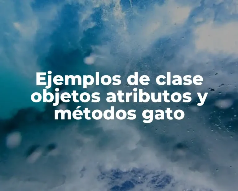 Ejemplos de clase objetos atributos y métodos gato