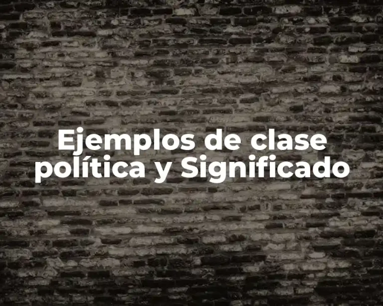Ejemplos de clase política y Significado