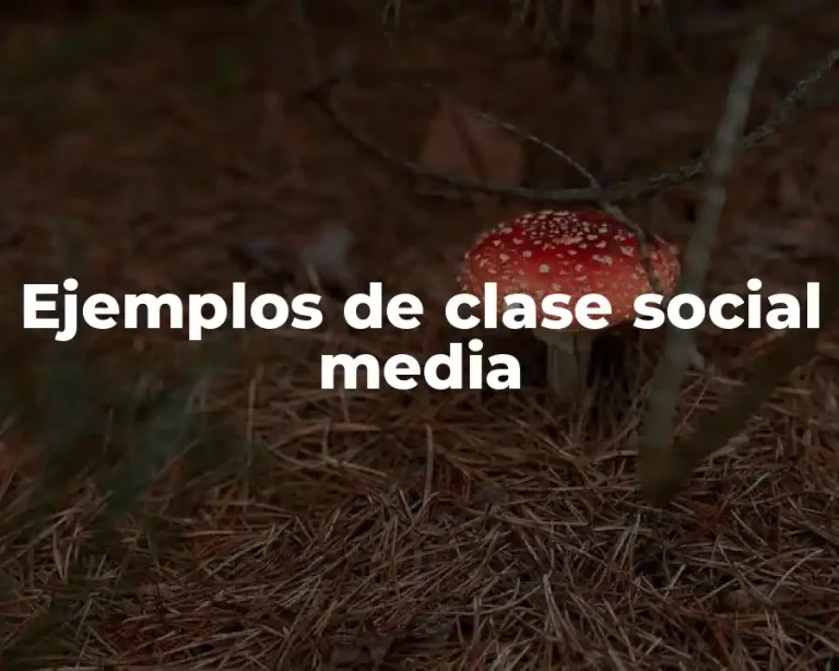 Ejemplos de clase social media