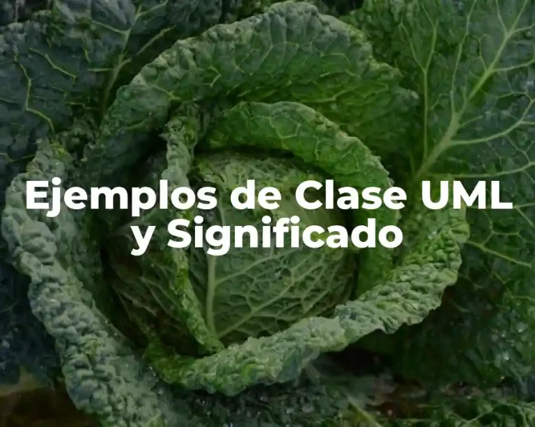 Ejemplos de Clase UML y Significado