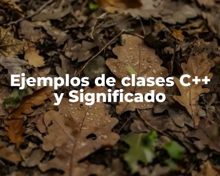 Ejemplos de clases C++ y Significado