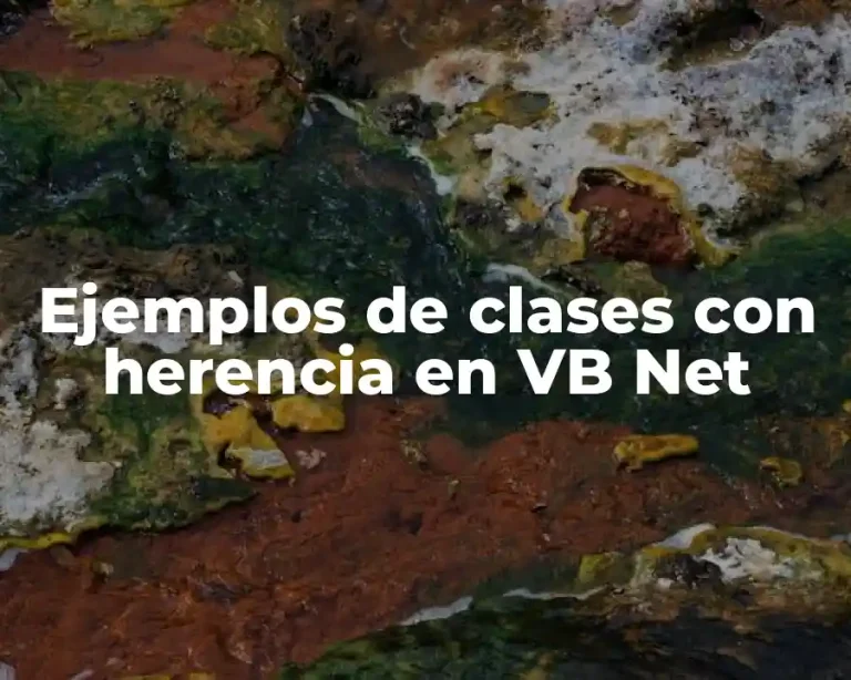 Ejemplos de clases con herencia en VB Net