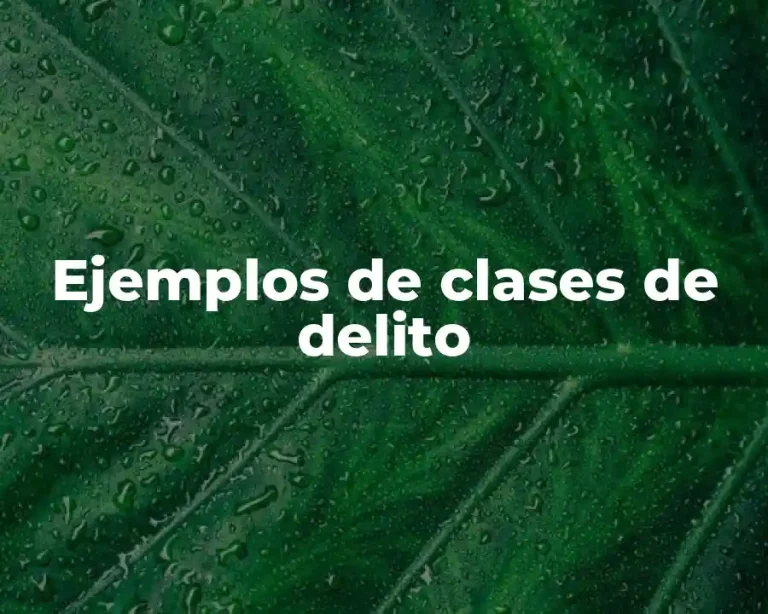 Ejemplos de clases de delito