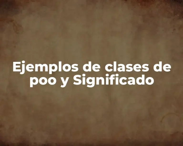 Ejemplos de clases de poo y Significado