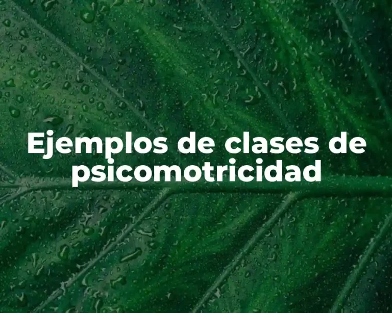 Ejemplos de clases de psicomotricidad
