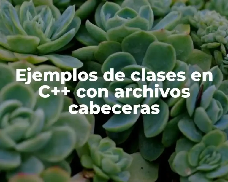 Ejemplos de clases en C++ con archivos cabeceras