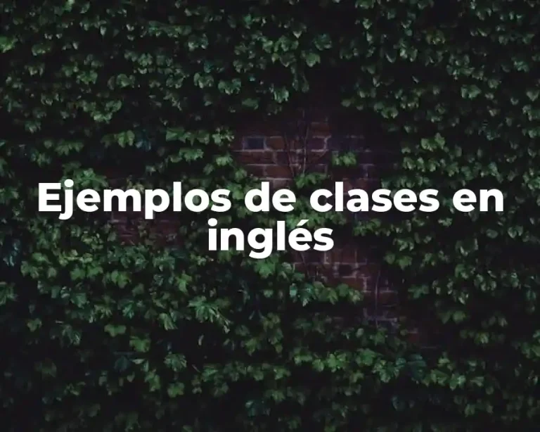 Ejemplos de clases en inglés