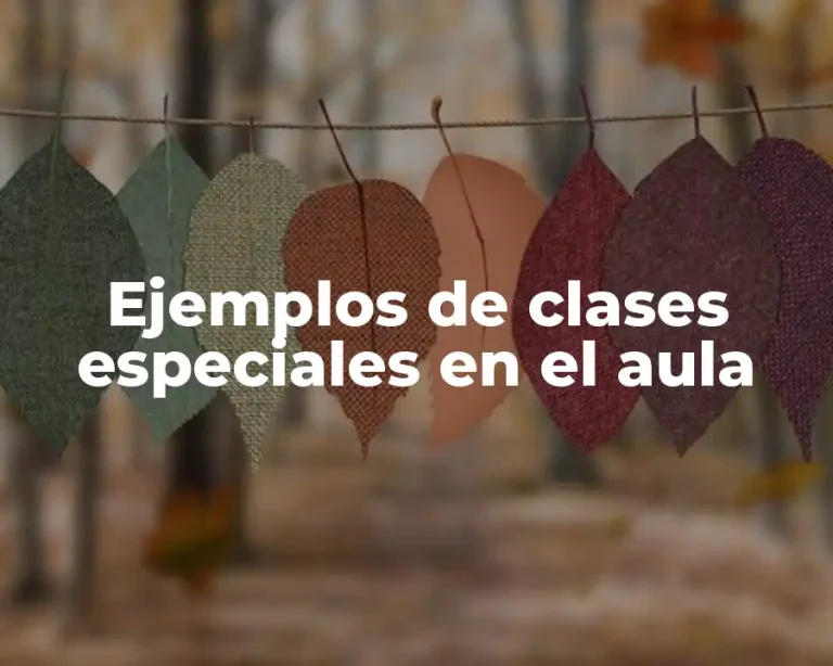 Ejemplos de clases especiales en el aula