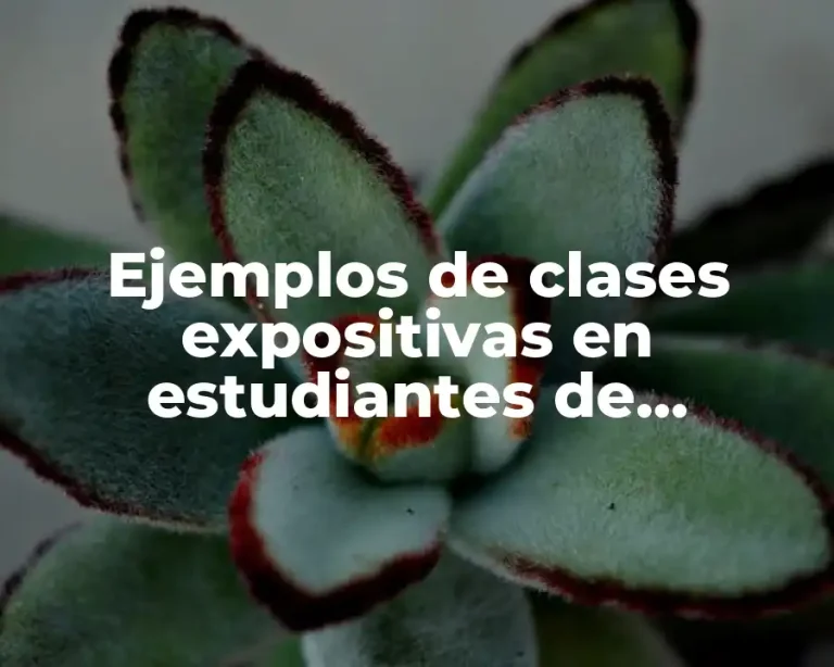 Ejemplos de clases expositivas en estudiantes de secundaria