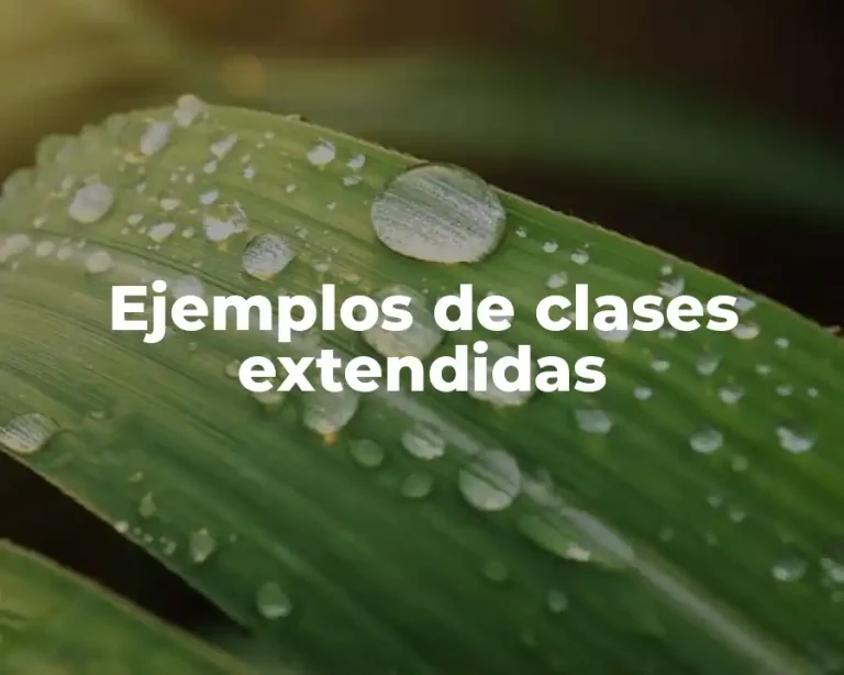 Ejemplos de clases extendidas