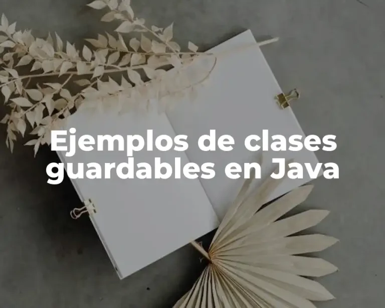 Ejemplos de clases guardables en Java