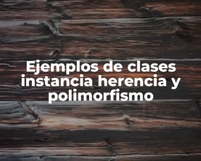 Ejemplos de clases instancia herencia y polimorfismo