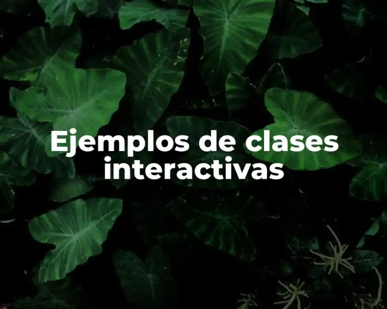 Ejemplos de clases interactivas