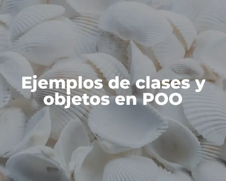 Ejemplos de clases y objetos en POO