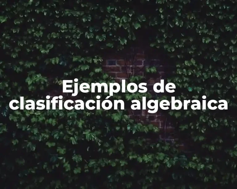 Ejemplos de clasificación algebraica