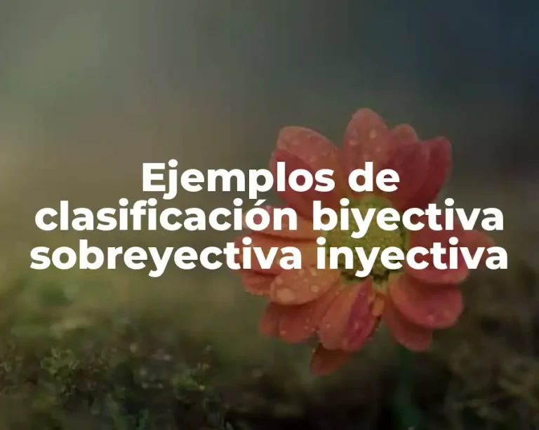 Ejemplos de clasificación biyectiva sobreyectiva inyectiva