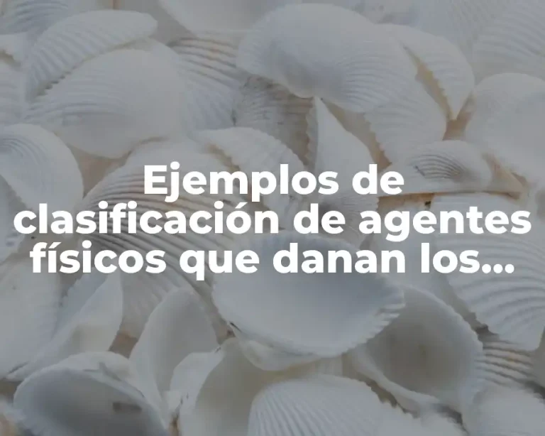 Ejemplos de clasificación de agentes físicos que danan los alimentos