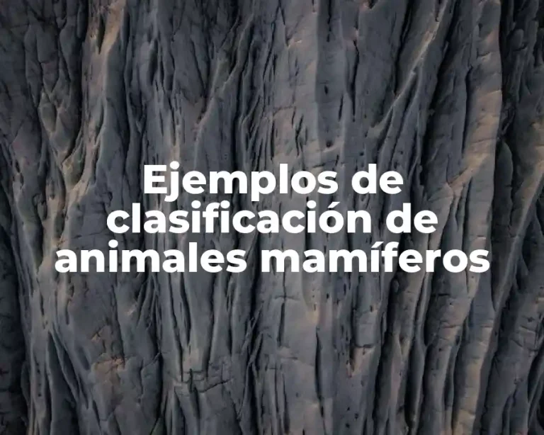 Ejemplos de clasificación de animales mamíferos